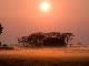 Национальный парк Кафуэ (Замбия)
